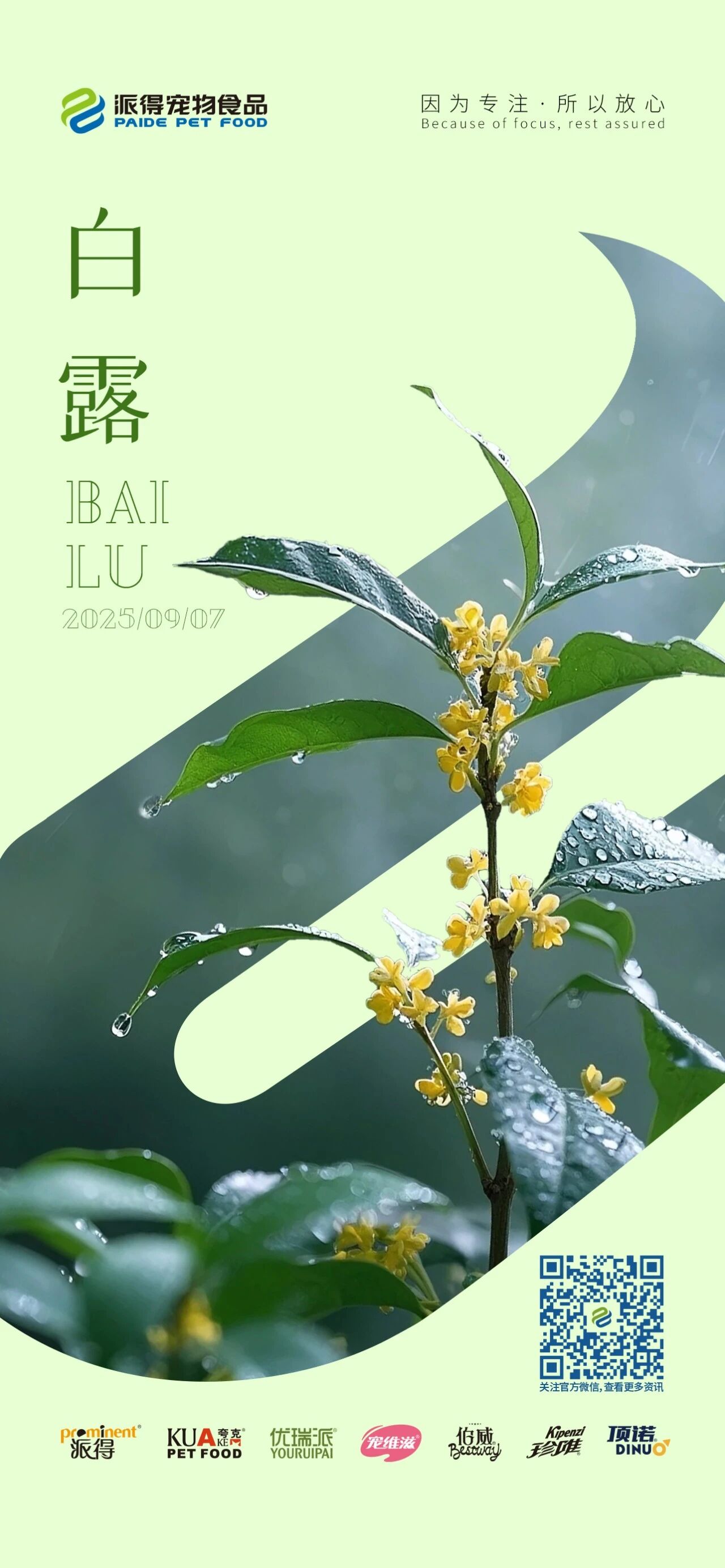 派得宠物
