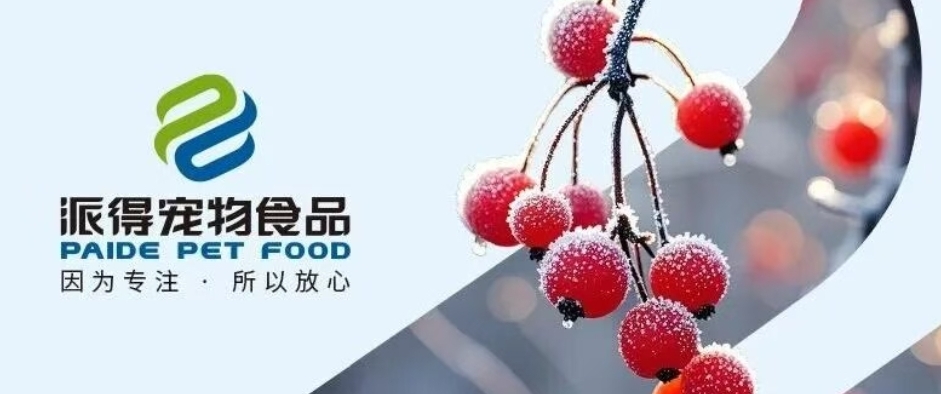 派得宠物