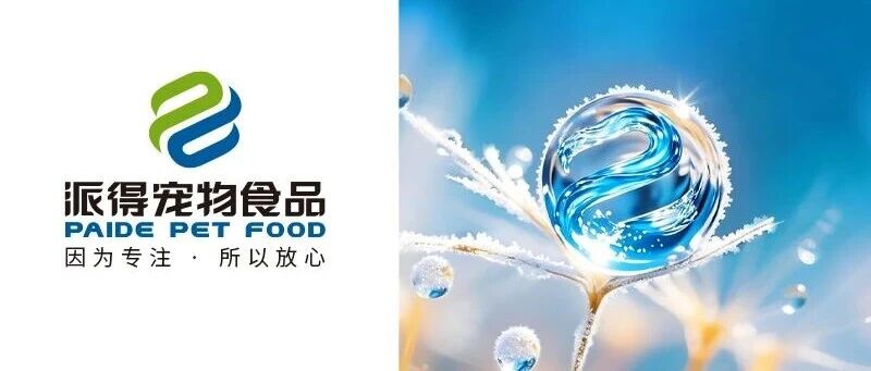 寒露丨寒露惊秋晚 朝看菊渐黄